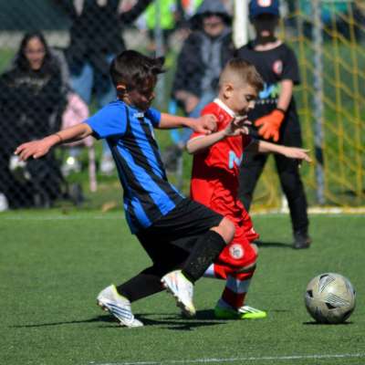 Giovanili, Under 9 - 2015 biancorossi al Torneo Ausonia